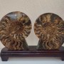 Sawn ammonite on a wooden stand, weight 1531 grams (weight including the stand)