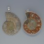 Ammonite Pendant, assorted sizes from 35x43mm to 37x45mm, length approx. 53mm, in a silver-tone setting