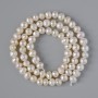 Freshwater Pearl Beads, diameter 5–5.5 mm, length 35 cm on a thread