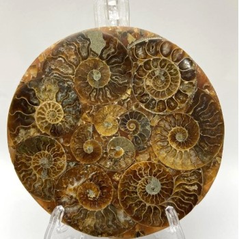 Souvenir plate with fossilized ammonite, diameter about 11 cm, with stand measuring approximately 15×10 cm