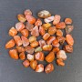 Natural Carnelian Nuggets, Faceted, Undrilled, 8-12×6-9 mm (+/-)