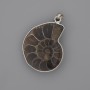 Ammonite pendant in a silver-tone setting, 30x26 mm, length approx. 43 mm, assorted sizes (per piece)