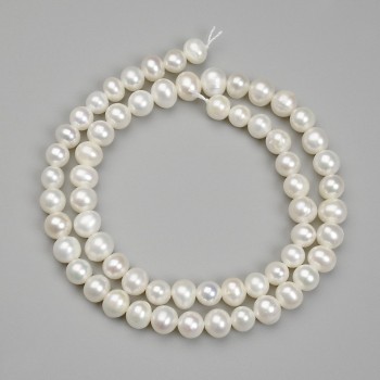 Freshwater Pearl Beads, diameter 7.5–8×8 mm, on a thread, length 36 cm+