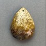 Petrified Coral Pendant 34×25 mm+