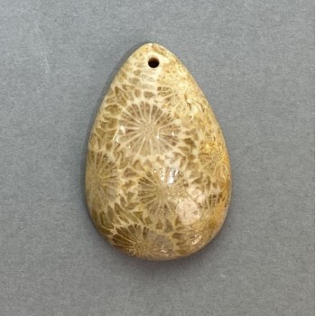 Fossilized Coral Pendant 36×24 mm+