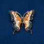 Butterfly Brooch with Multicolored Crystals, Gold-Tone Metal 50x55 mm +