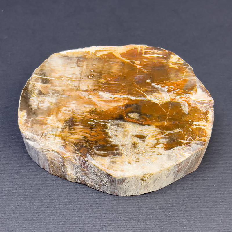 Price per 100g. Natural petrified wood slice, dimensions ~90x80x23 mm, weight ~250 g