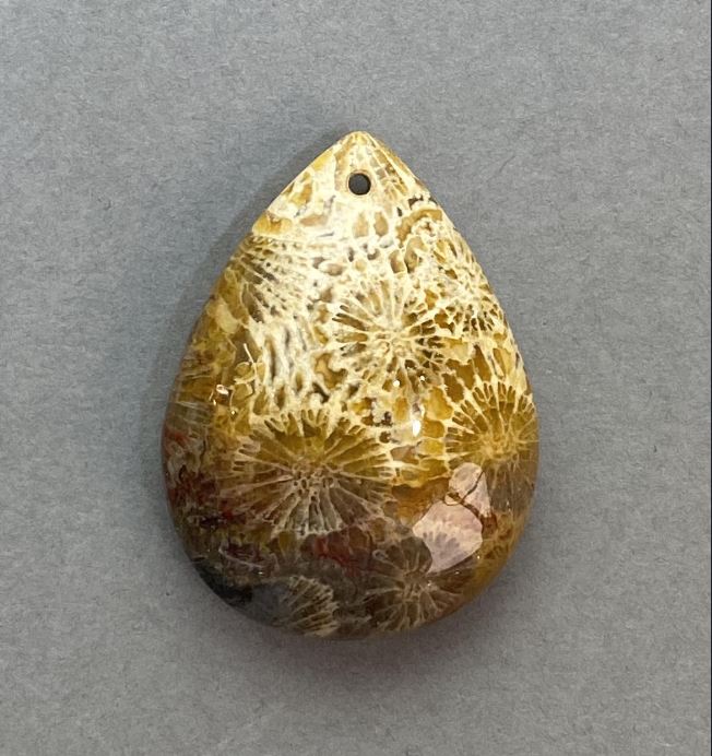 Petrified Coral Pendant 34×25 mm+