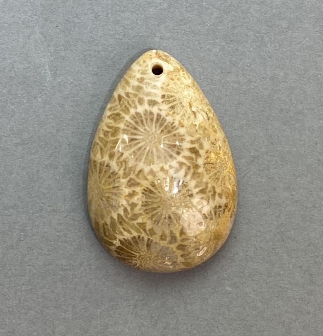 Fossilized Coral Pendant 36×24 mm+