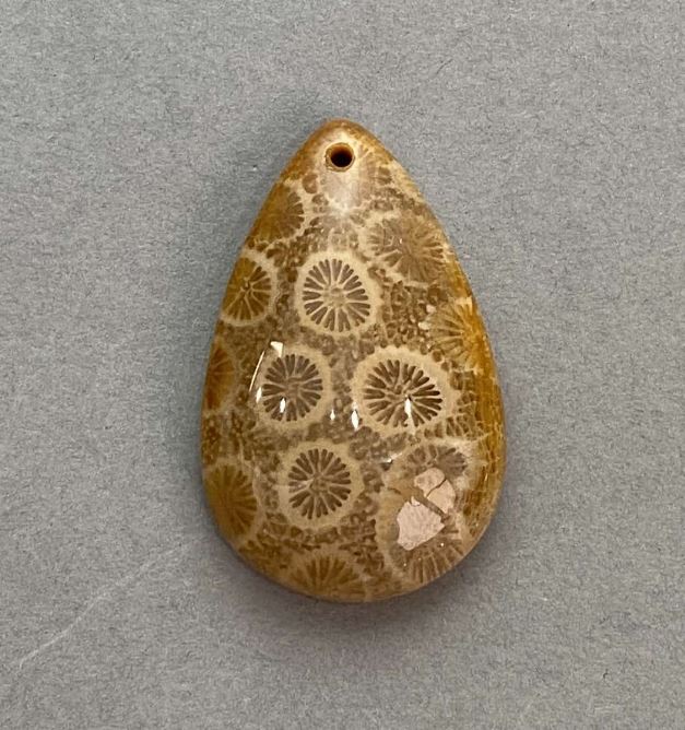 Pendant Fossilized Coral 37×23 mm+
