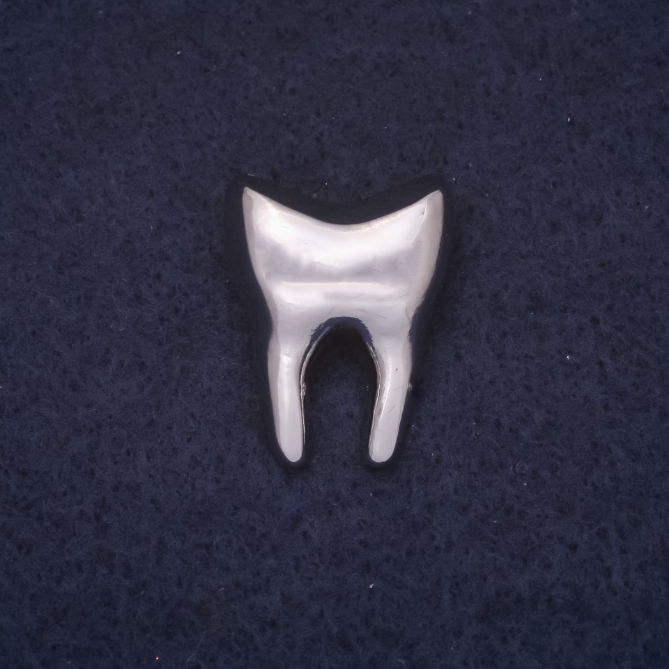 Brooch Tooth 18×22mm, silver-colored metal